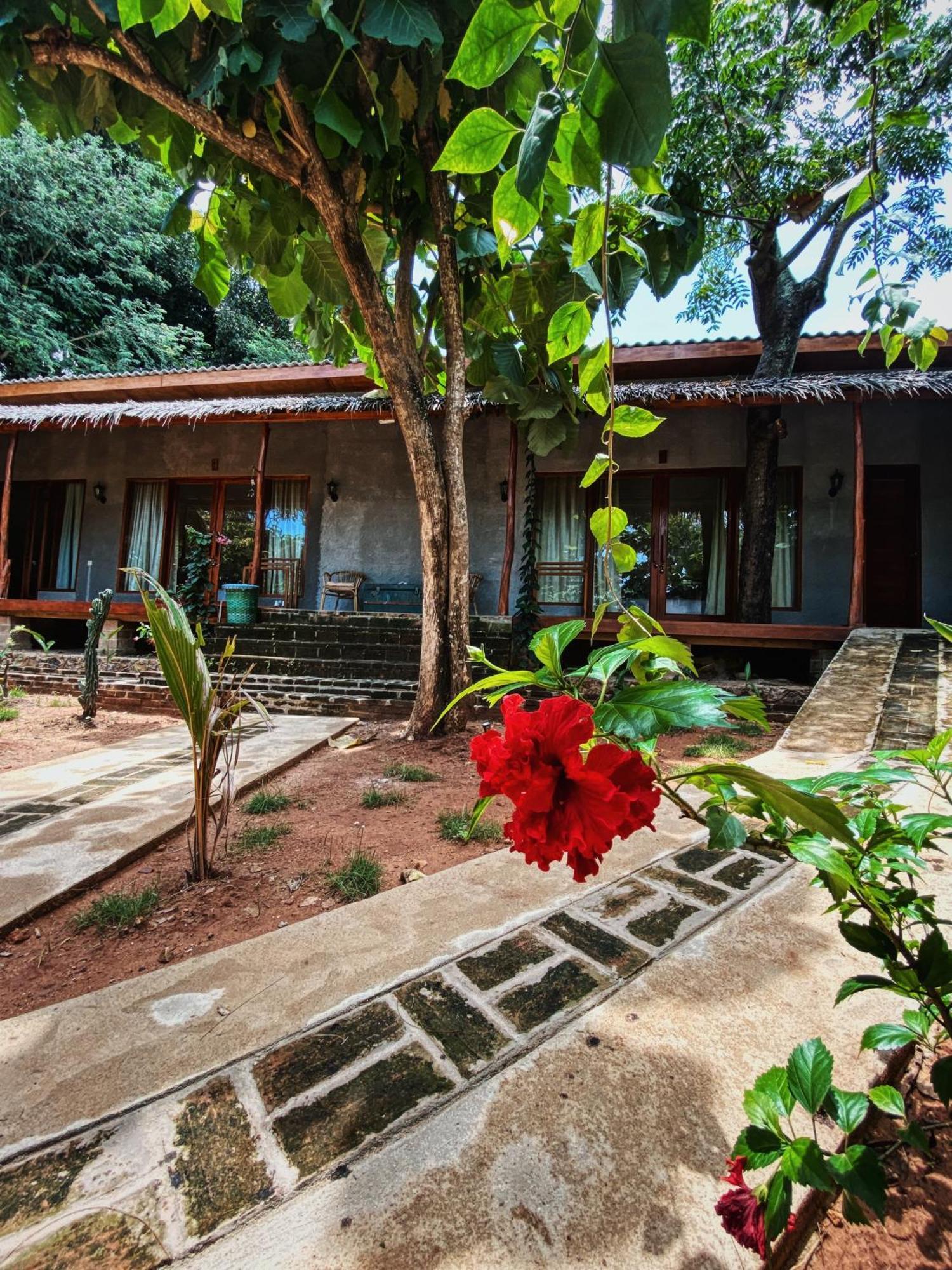Basa-Basi Lodge Karimunjawa Eksteriør bilde