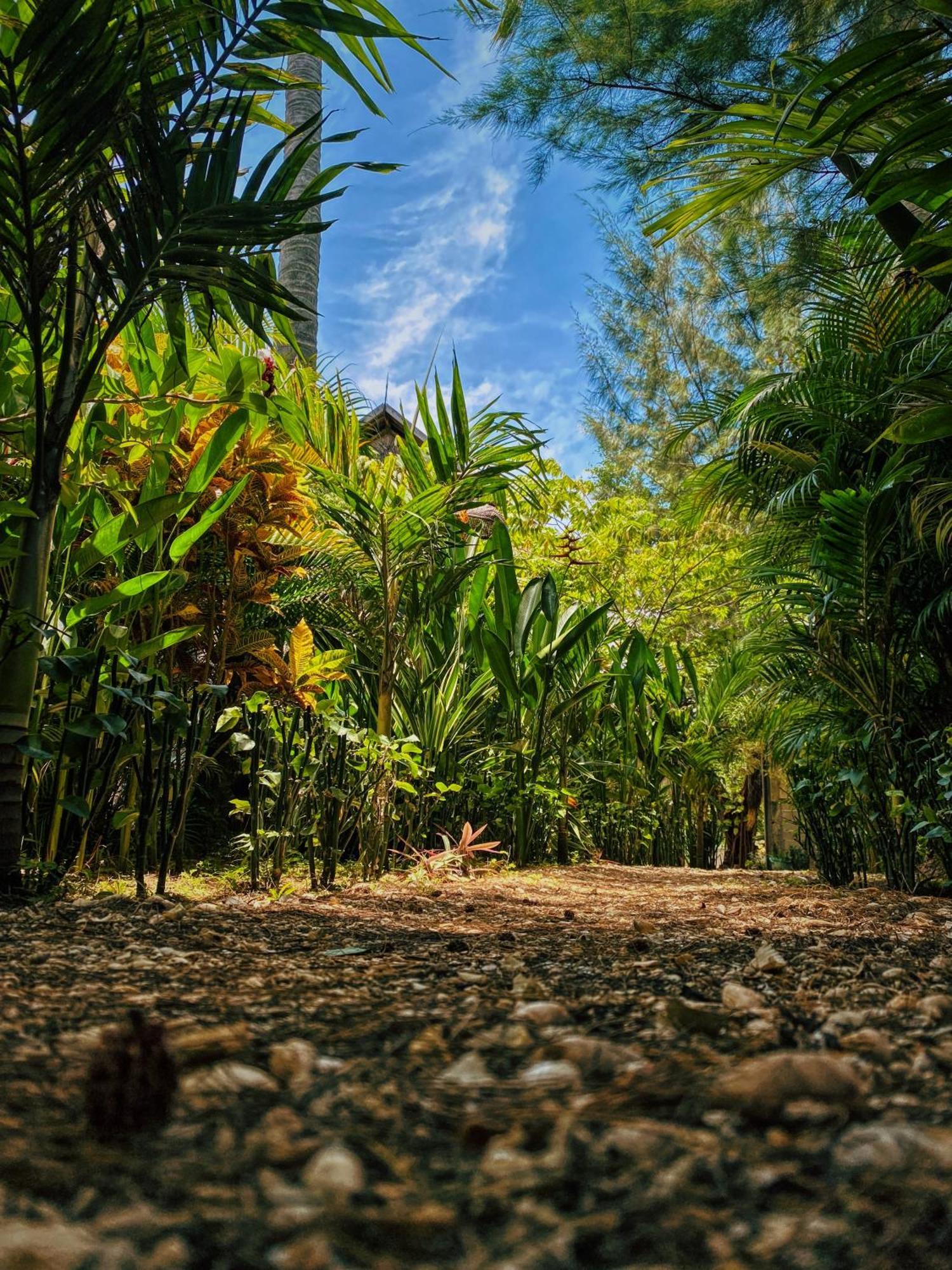 Basa-Basi Lodge Karimunjawa Eksteriør bilde
